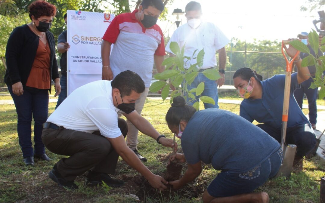 Ponen en marcha una jornada de reforestación en el municipio.
