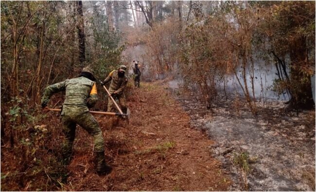 Un incendio forestal que se suscitó en La Reserva de la Biósfera “El Cielo”.