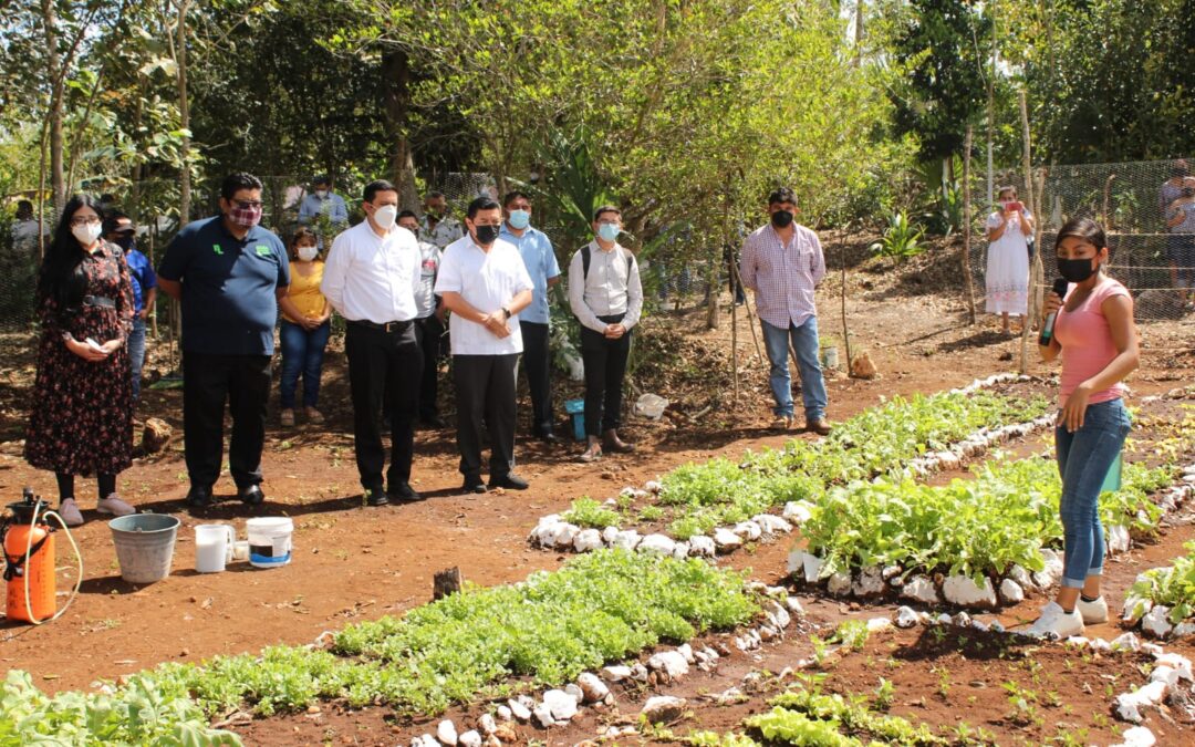 Para conocer el proyecto de Huertos Agroecológicos que replica el Ayuntamiento en el Municipio.