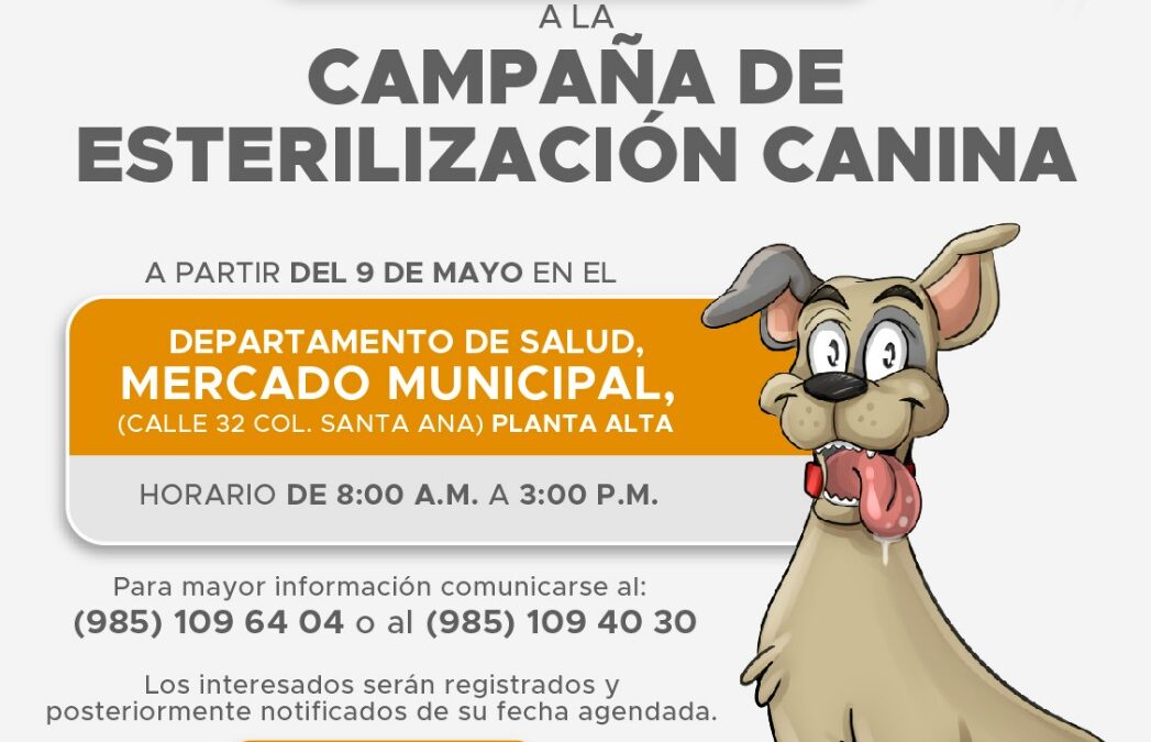 Este lunes comenzó el registro.