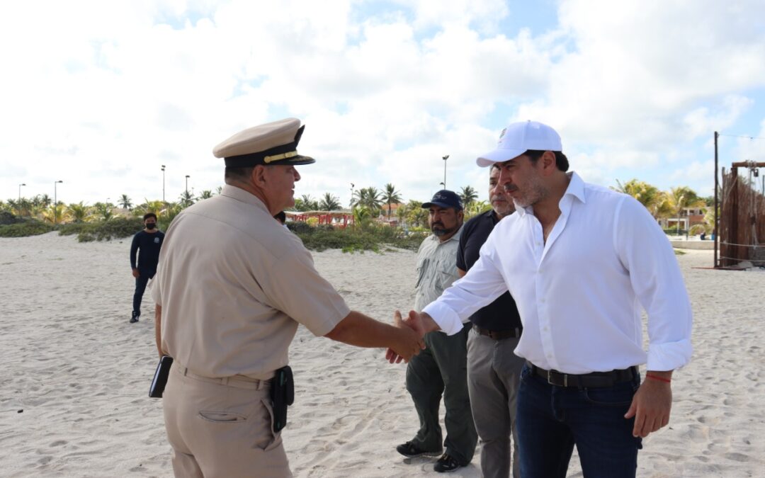 Más de 1,200 kilos de especies marinas que recalaron en las playas del puerto, han sido recolectadas y enterradas por la Policía Ecológica.