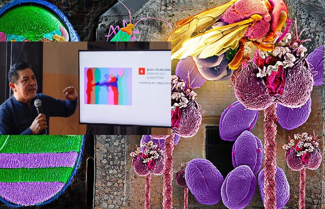 Rinden frutos las gestiones del alcalde Alfredo Fernández.