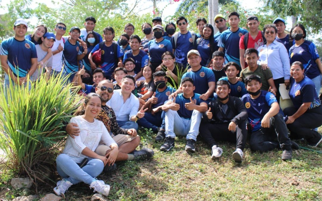 Acciones de Sustentabilidad en el Microecosistema del Área Verde ITSVA.