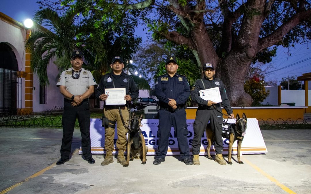 Elementos encargados de la Unidad Táctica Canina reciben certificados.