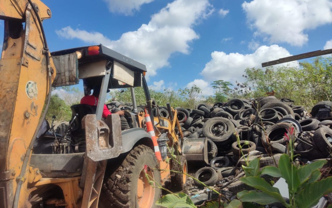 Por el medio ambiente, la salud y el bienestar de las y los vallisoletanos.