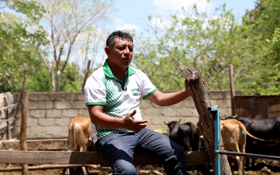 Renán Barrera potencializa al sector agropecuario.