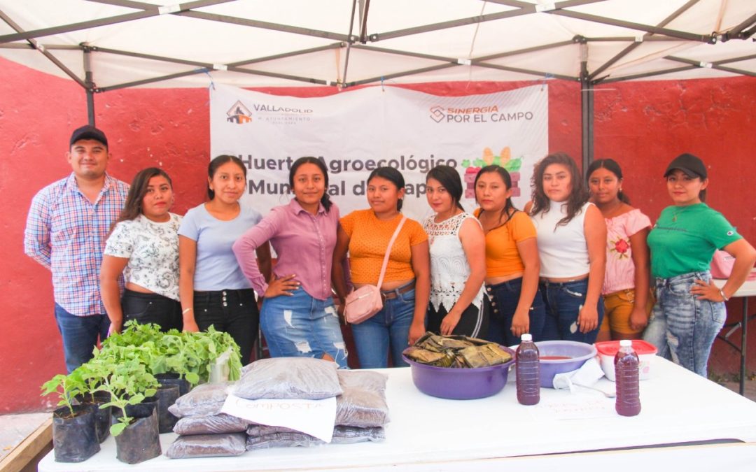 El Ayuntamiento prepara festival para celebrar el primer aniversario del Tianguis Orgánico “Sinergia por el Campo”.