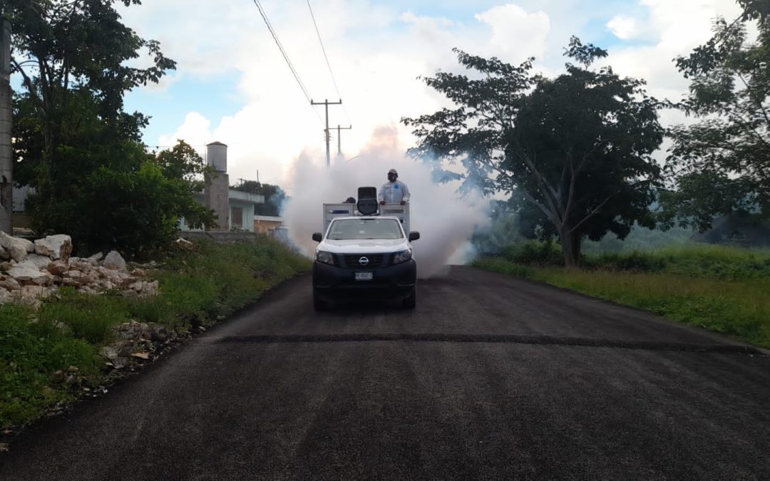 Acciones firmes y responsables en Valladolid, como parte de la lucha frontal contra el dengue.