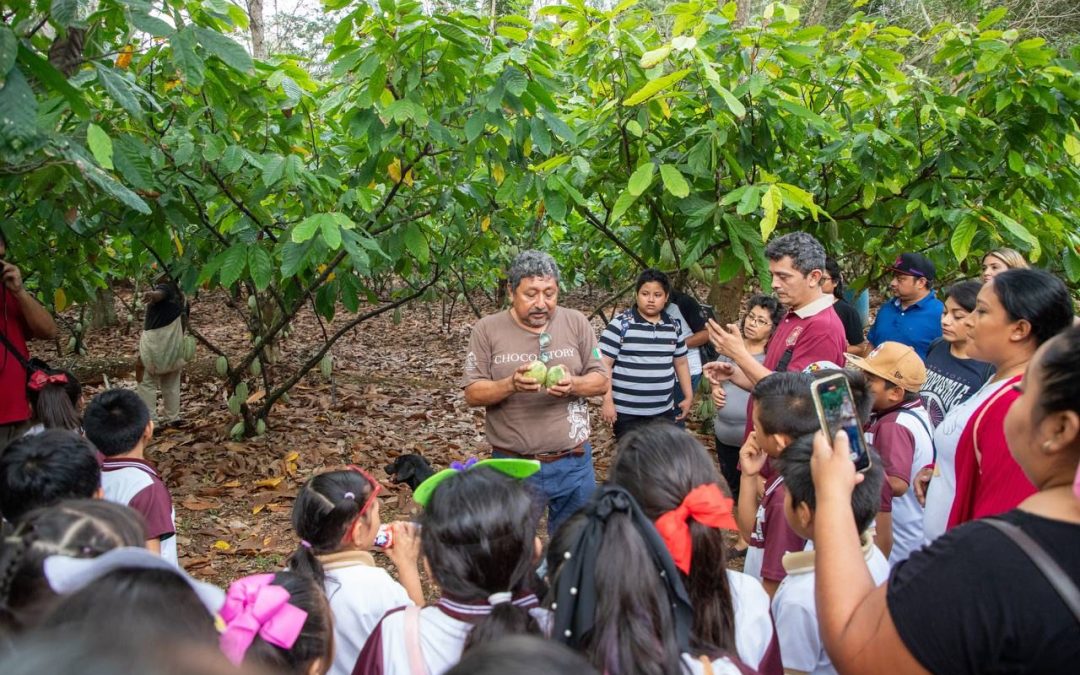 Maestro que inspira: Sergio Meza Córdova un orgullo del sur del estado.