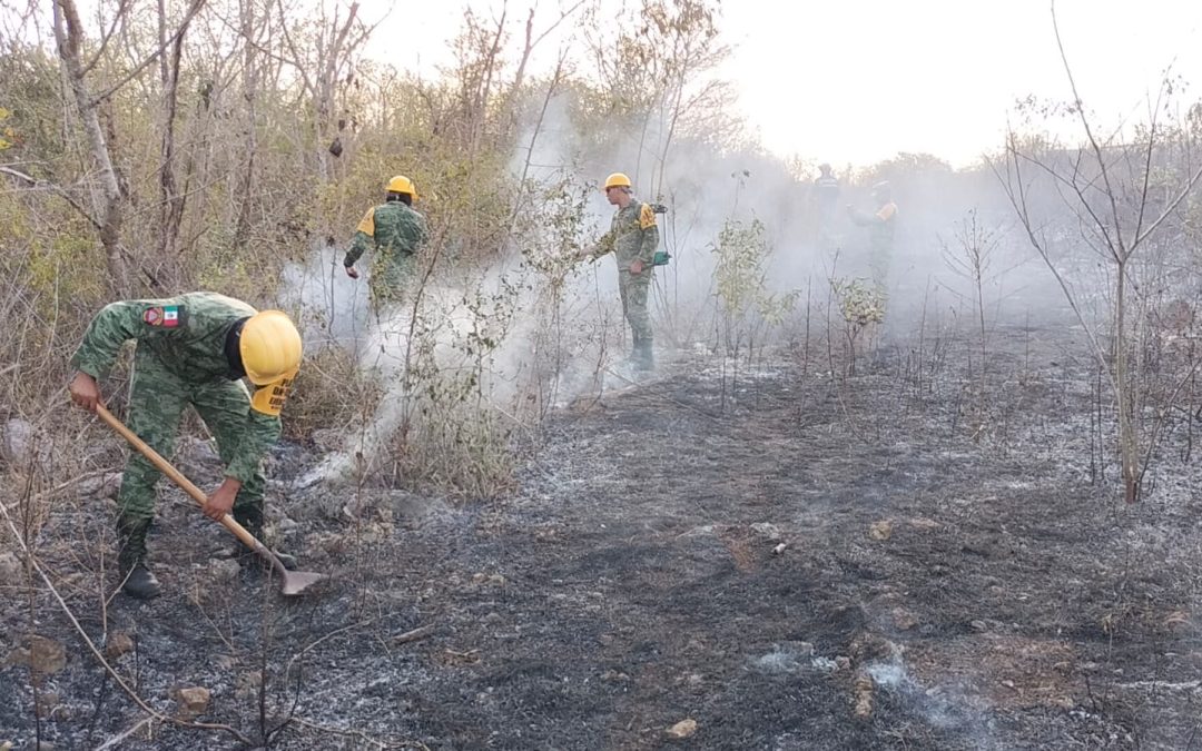 Ejército Mexicano aplica el Plan DN-III-E durante la sofocación de un incendio.